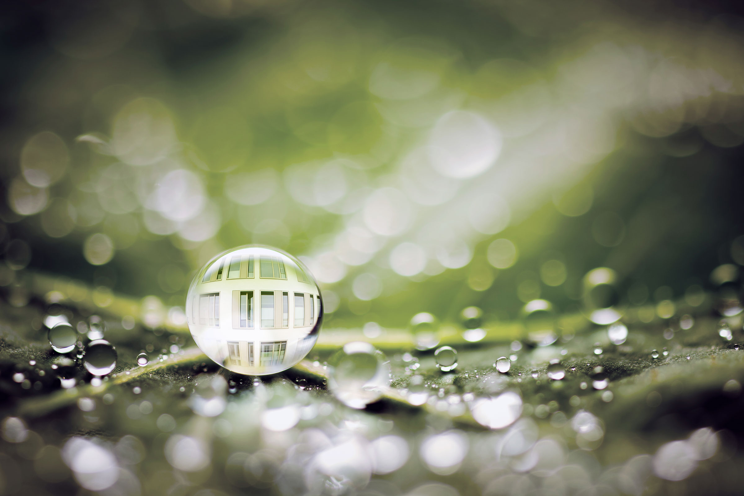 Bionik bei Sto: Wassertropfen auf grünem Blatt, bionische Fassadenfarben
