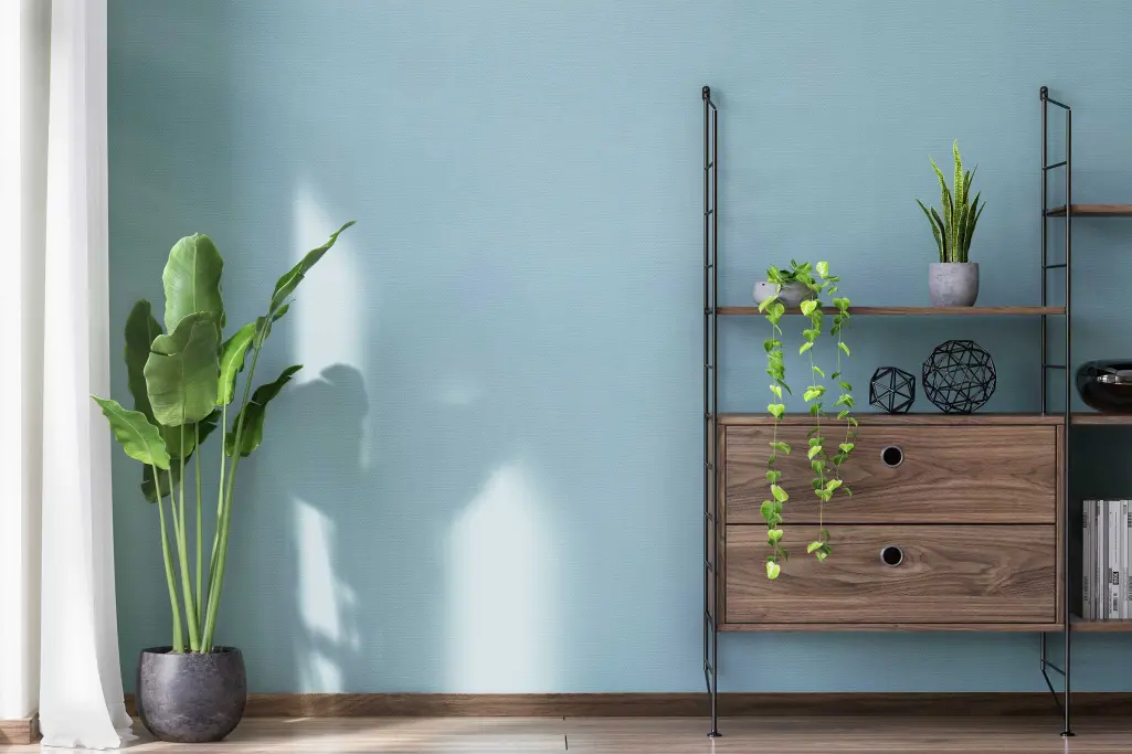 Blaue Wand mit Pflanze und modernem Holzregal