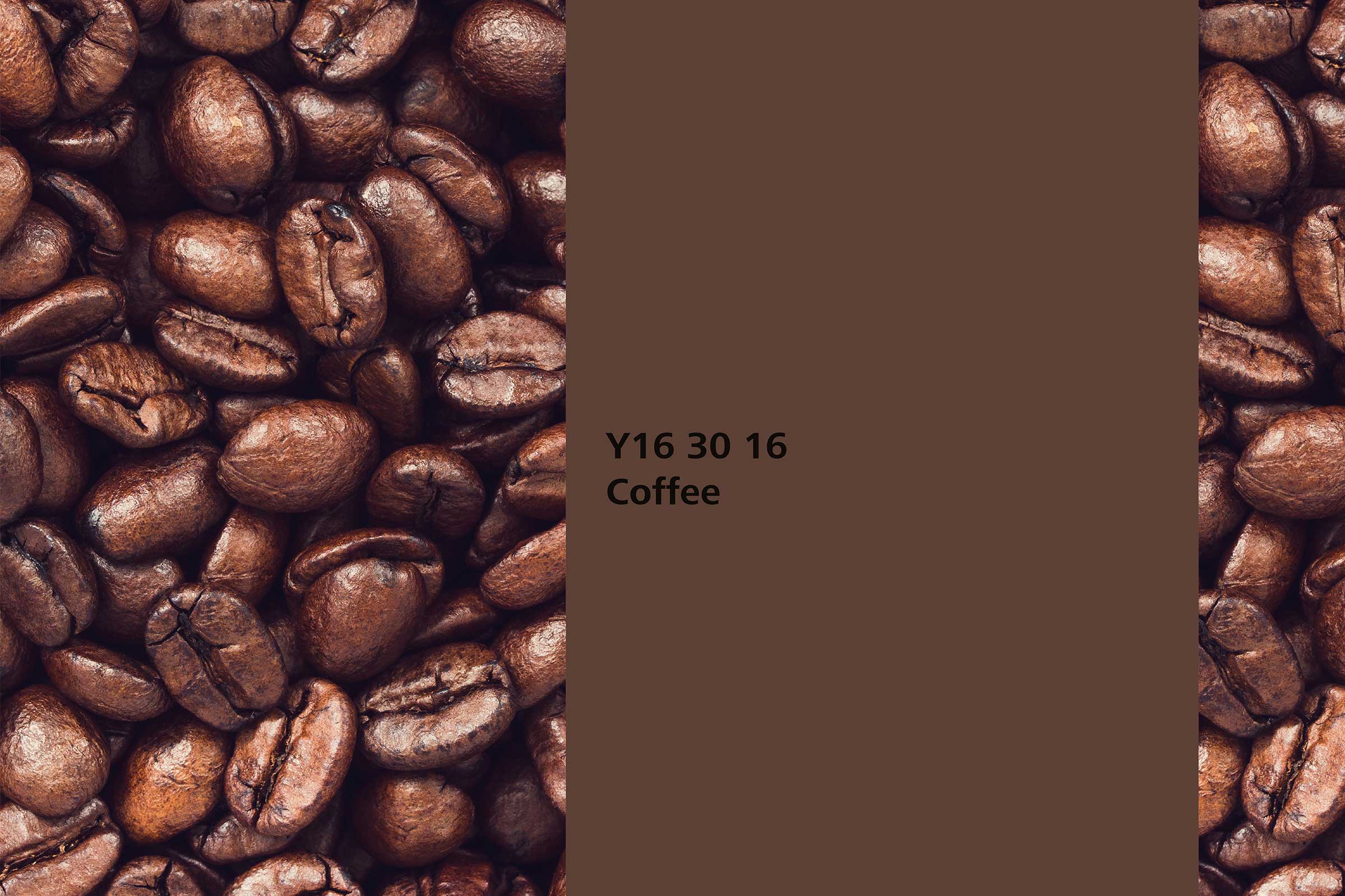 Wandfarbe im Naturfarbton Coffee der IC 24, Kaffeebohnen im Hintergrund, Wandfarbe Coffee davor