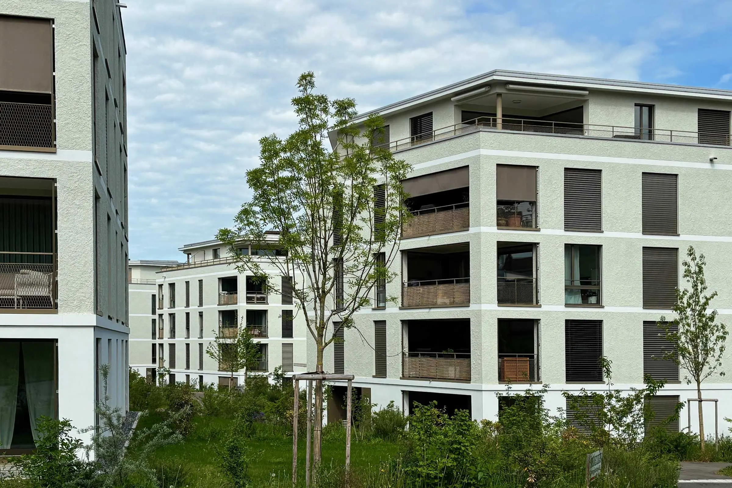Mehrfamilienhäuser mit hellgrüner Fassade mit StoSignature und braunen Fenstern