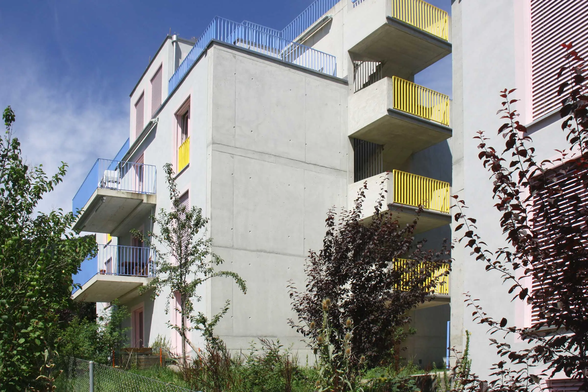Mehrfamilienhaus aus Sichtbeton mit rosa Fensterumrandung und blauen Balkonen