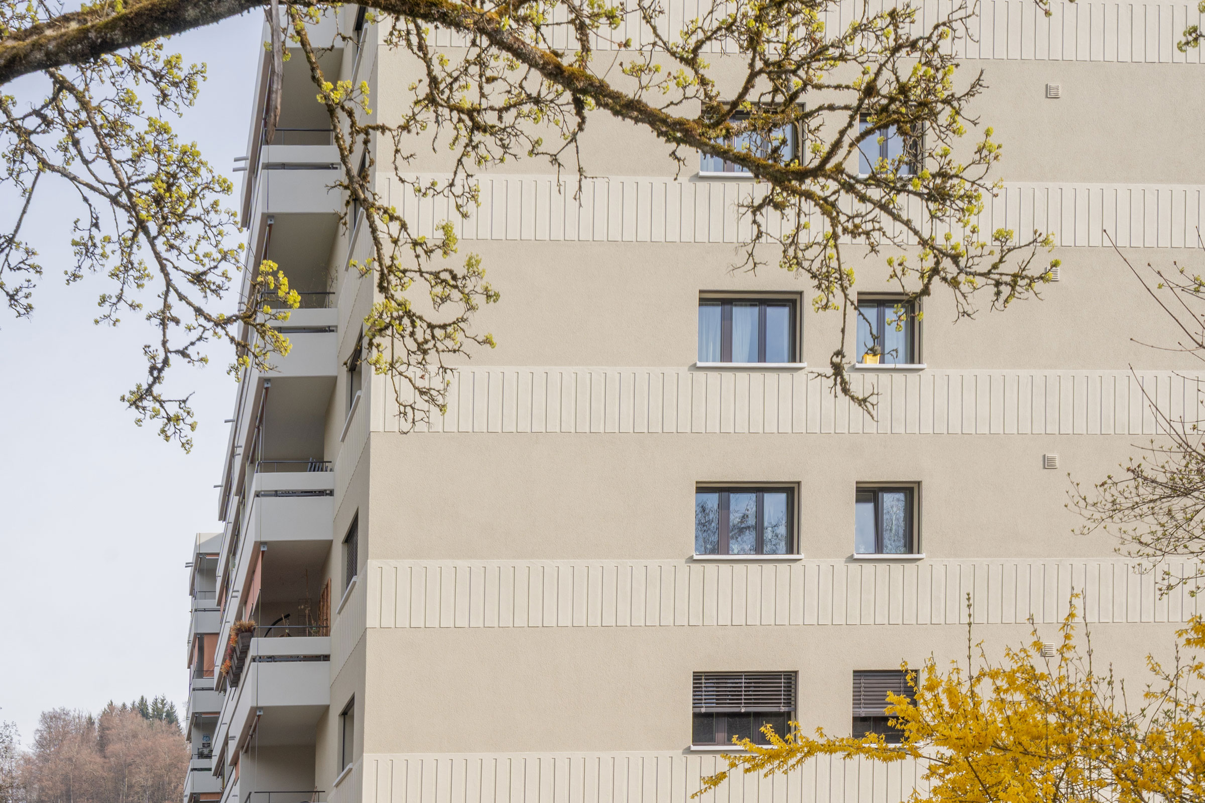 MFH Kappelenring 5a-c, Hinterkappelen CH