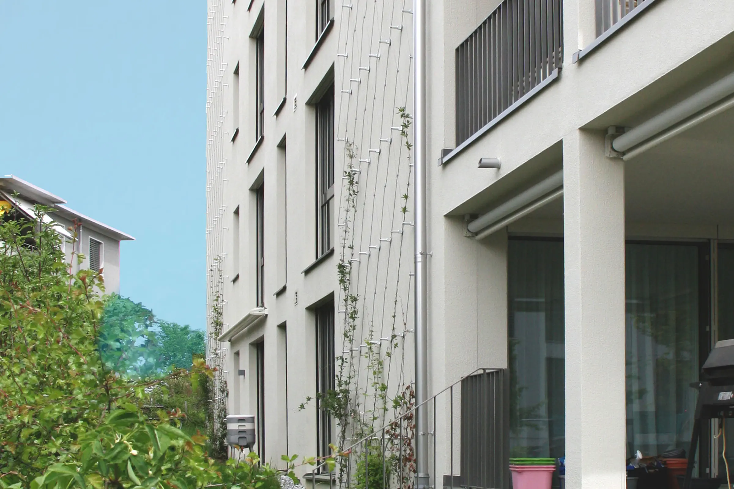 Helle Fassade mit Fassadenbegrünungssystem