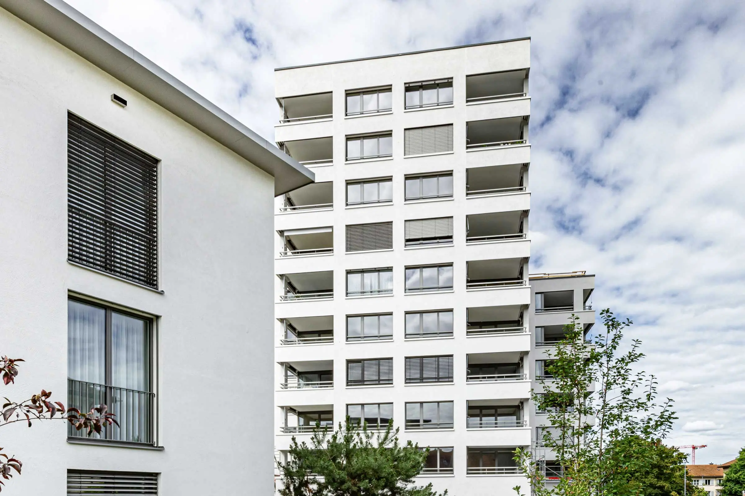 Mehrere Gebäude einer Wohnüberbauung, Umbau und Neubau mit weisser Fassade