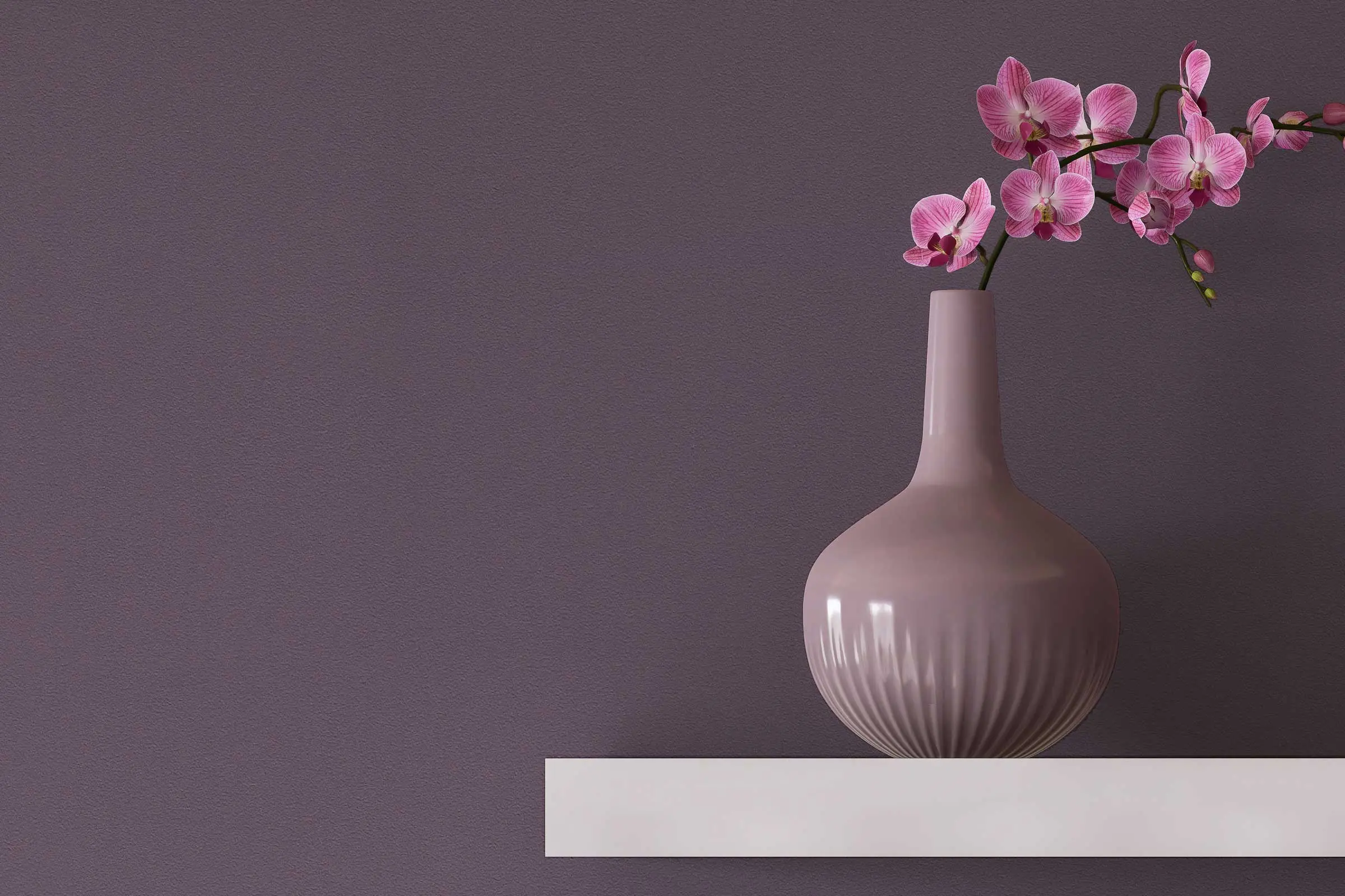 Schlafzimmer-Detail Wandregal mit Vase, lilafarbene Wand gestaltet mit Interior Colors 24+ von Sto