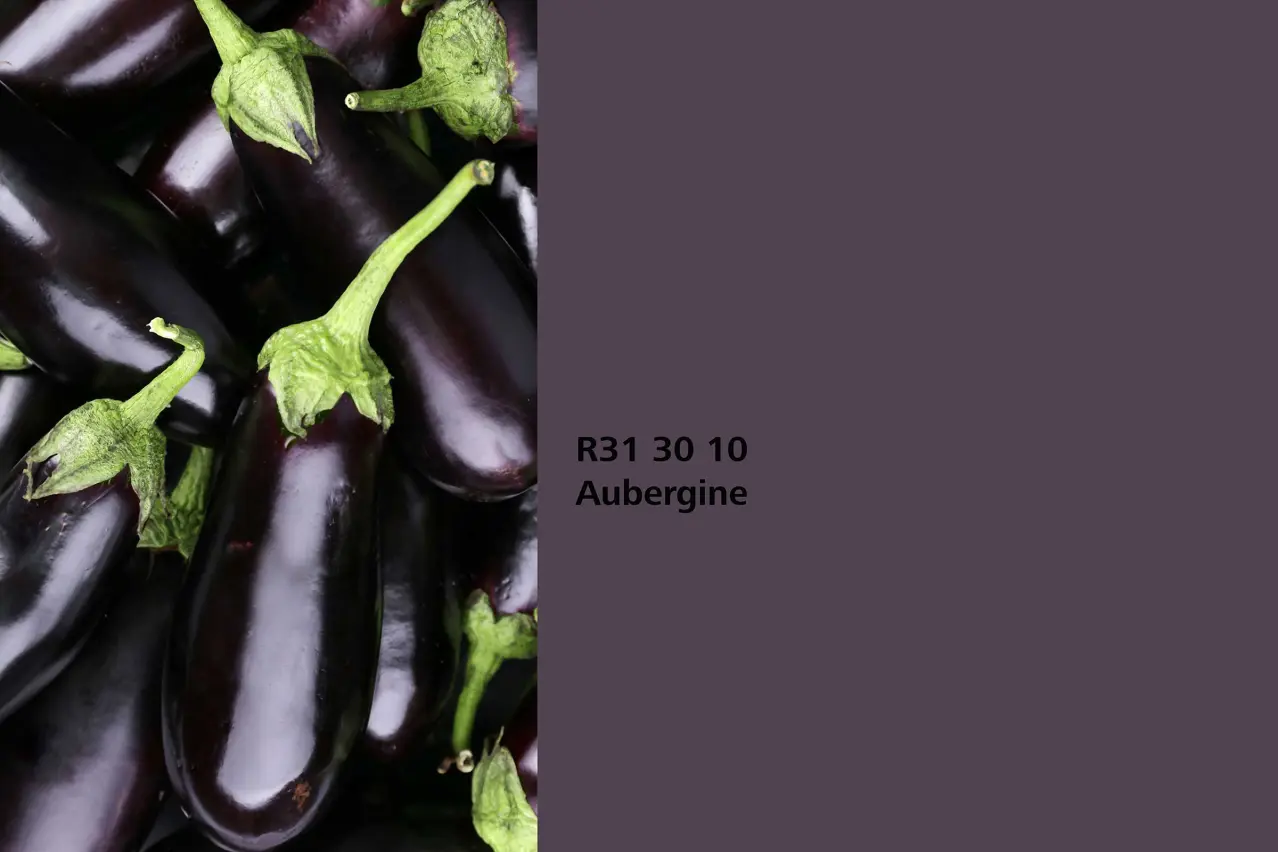 Farbton Aubergine, Assoziation Auberginefrüchte, Naturfarbton der Interior Colors 24+ von Sto