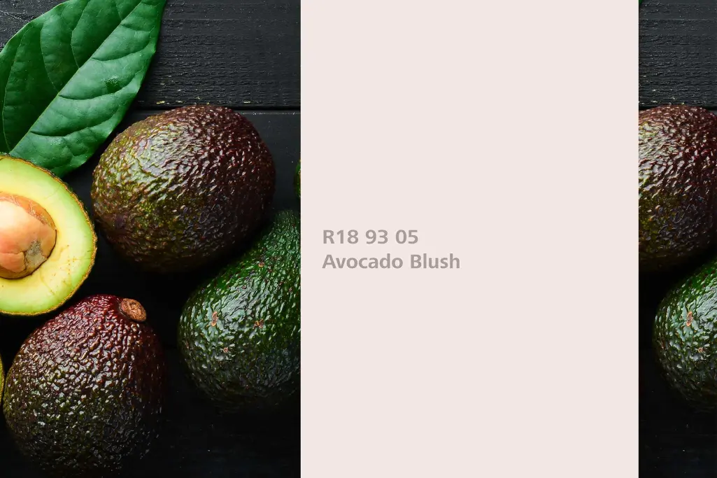Farbton Avocado Blush, Färberpflanze Avocado (Persea americana), Naturfarbton Interior Colors 24+