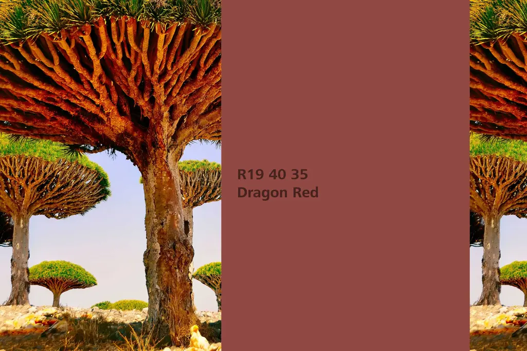 Farbton Dragon Red, Färberpflanze Drachenblutbaum (Dracaena cinnab, Naturfarbton Interior Colors 24+