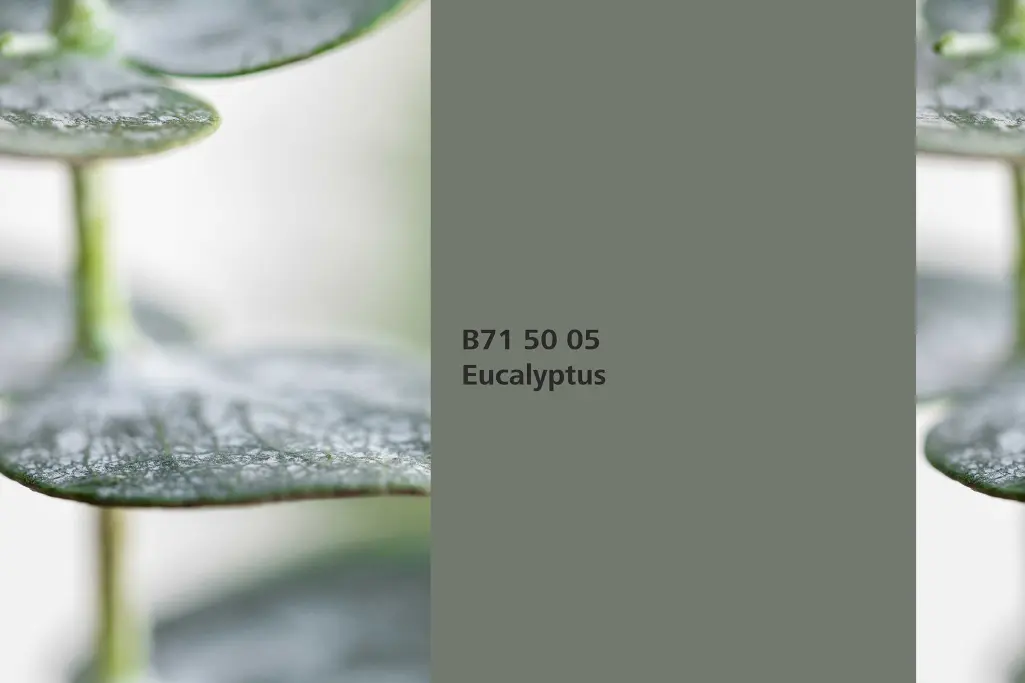 Farbton Eucalyptus, Assoziation Eukalyptusblätter (Eucalyptus), Naturfarbton Interior Colors 24+