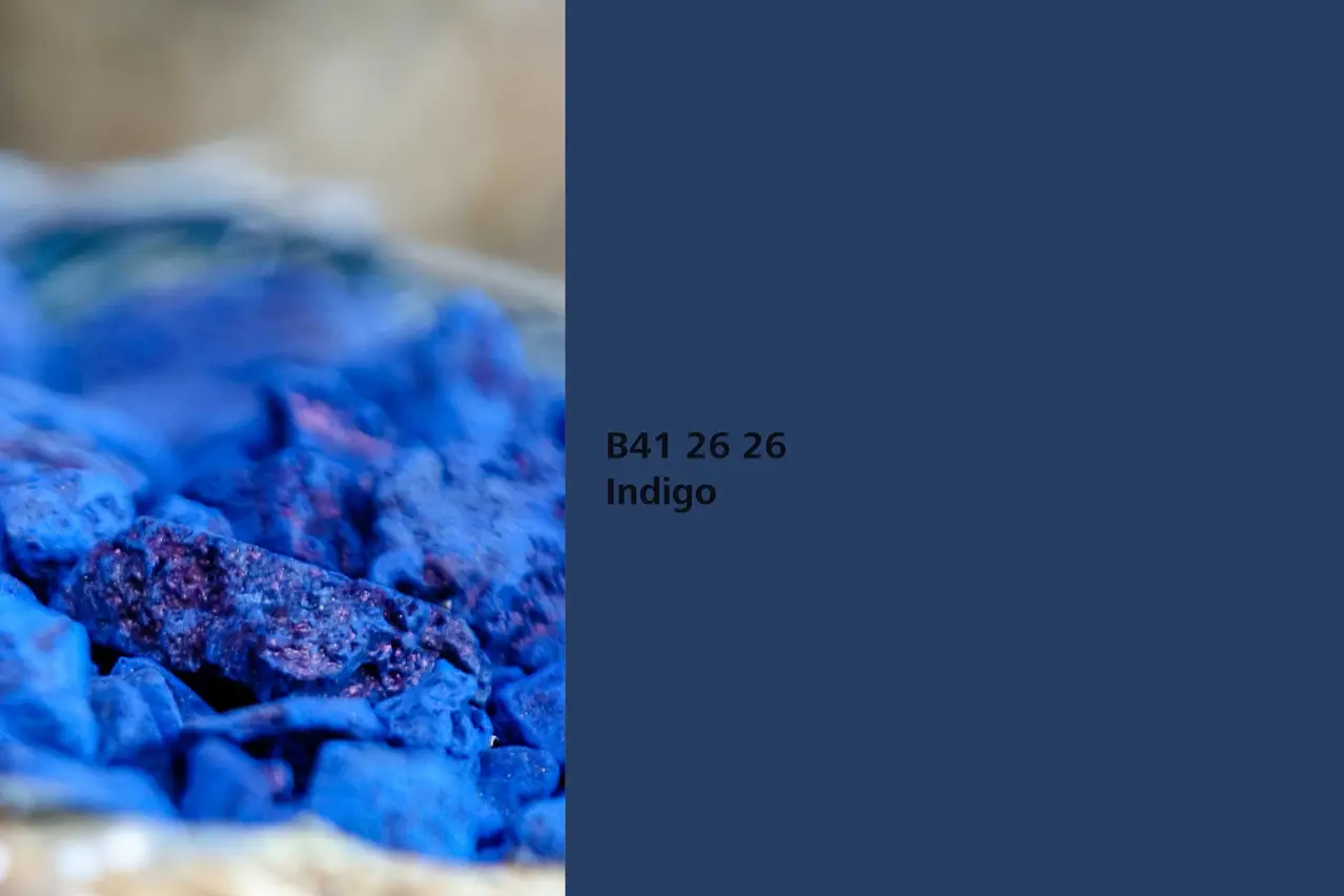 Farbton Indigo, Färberpflanze Indigopflanze, Naturfarbton der Interior Colors 24+ von Sto
