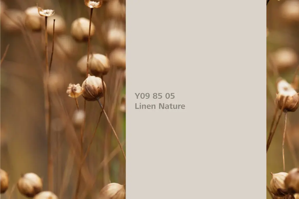 Farbton Linen Nature, Assoziation Flachs, Naturfarbton Interior Colors 24+