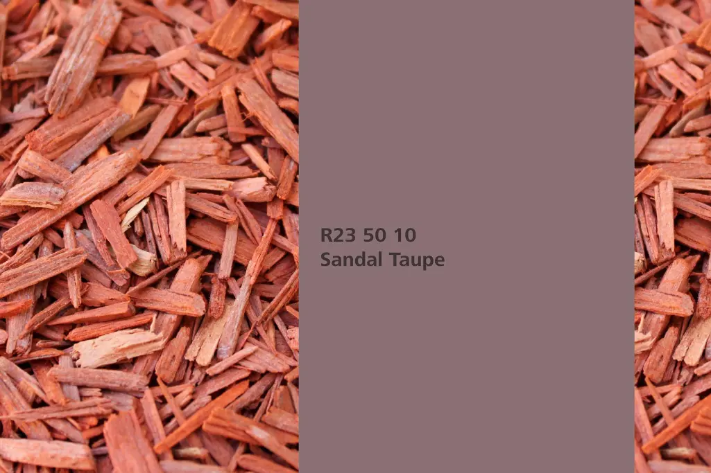 Farbton Sandal Taupe, Färberpflanze Sandelholz (Pterocarpus soyaux, Naturfarbton Interior Colors 24+