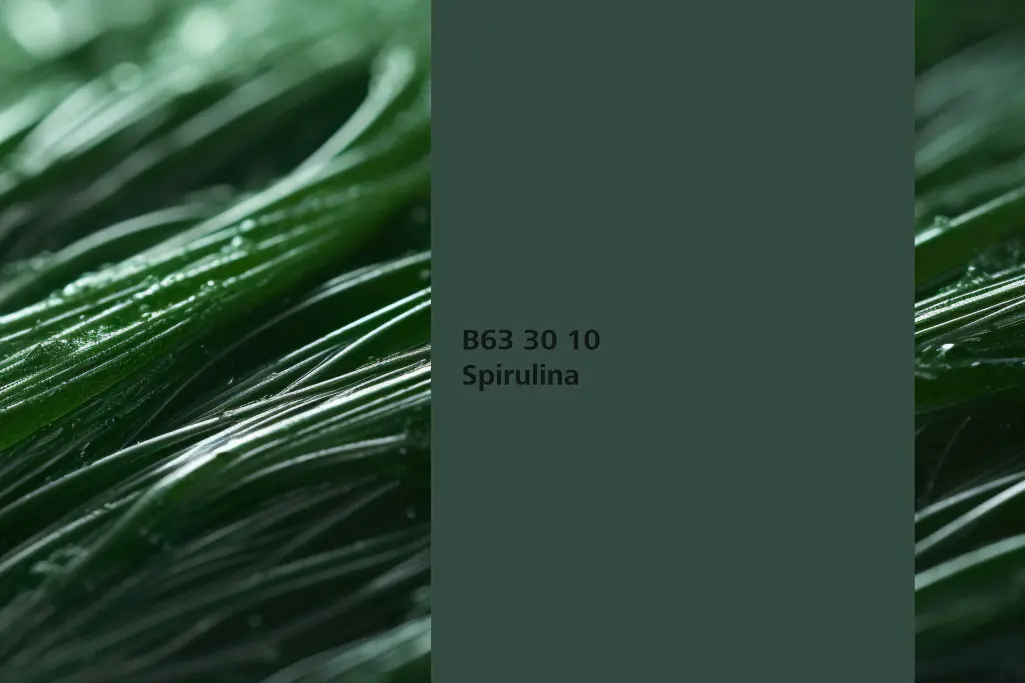 Farbton Spirulina, Färberpflanze: Blaualgen (Arthrospira platensis, Naturfarbton Interior Colors 24+