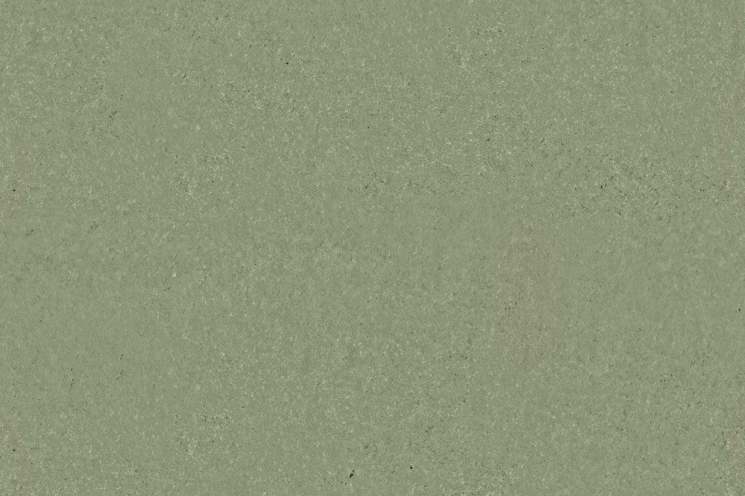 Oberfläche in Salvia Green, Farbton der Sto Interior Colors 24+, auf ökologischer Spachtelmasse