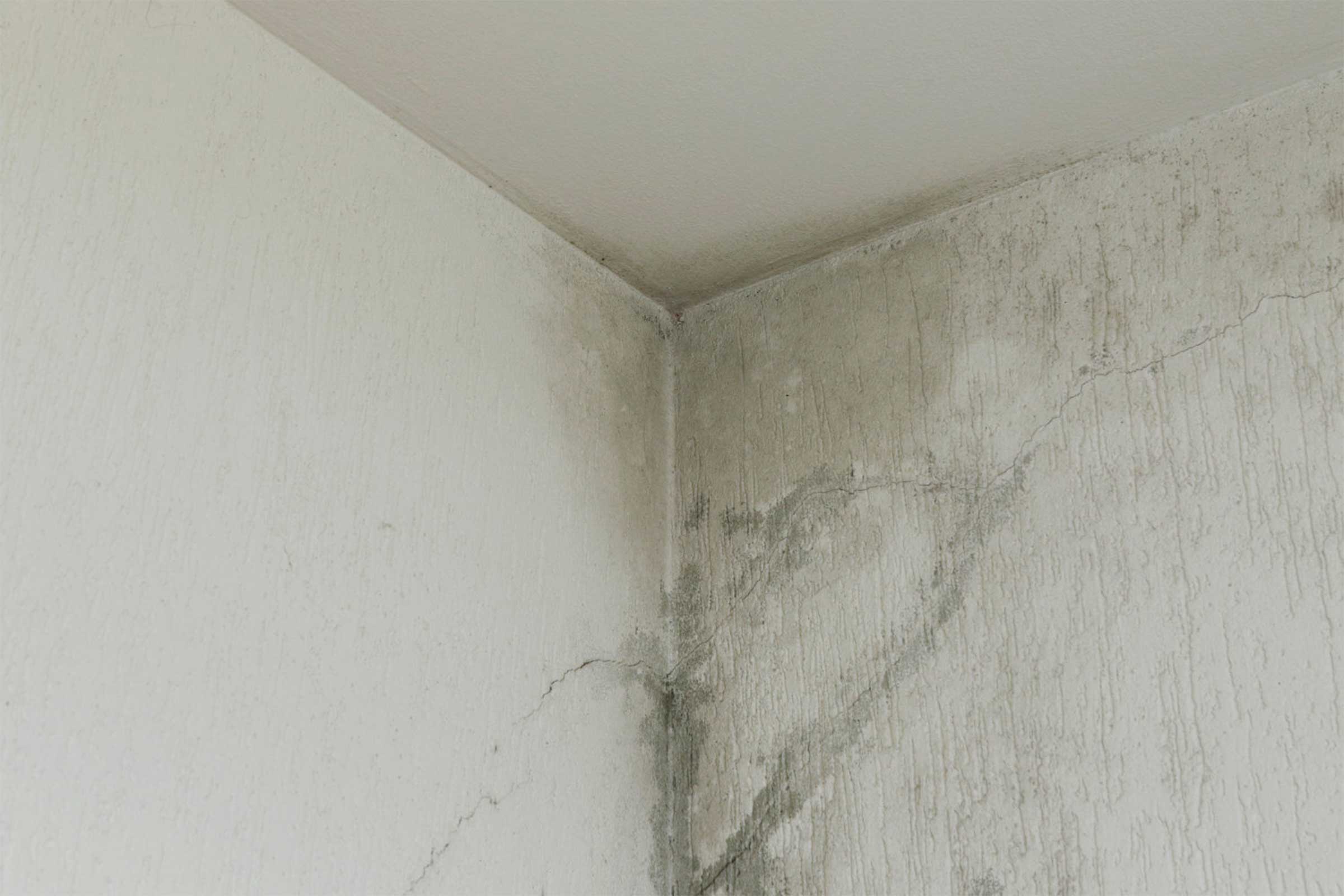 Ecke in Innenraum mit Schimmelbefall