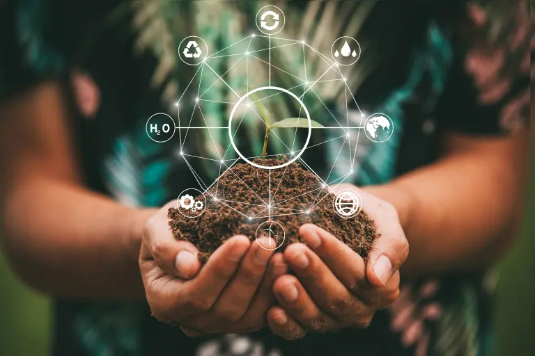 Due mani che tengono una piccola pianta d'albero